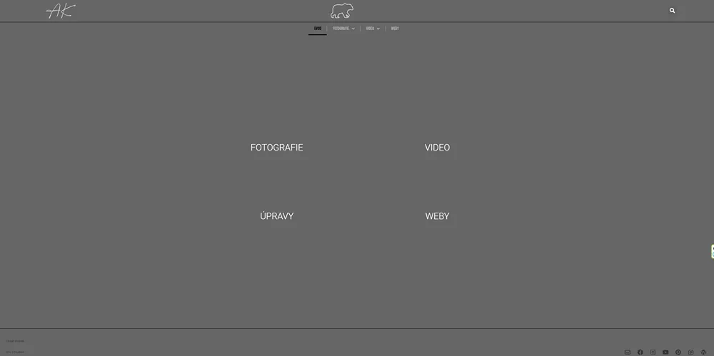 webdesign-bear-hugs-alan-kabes