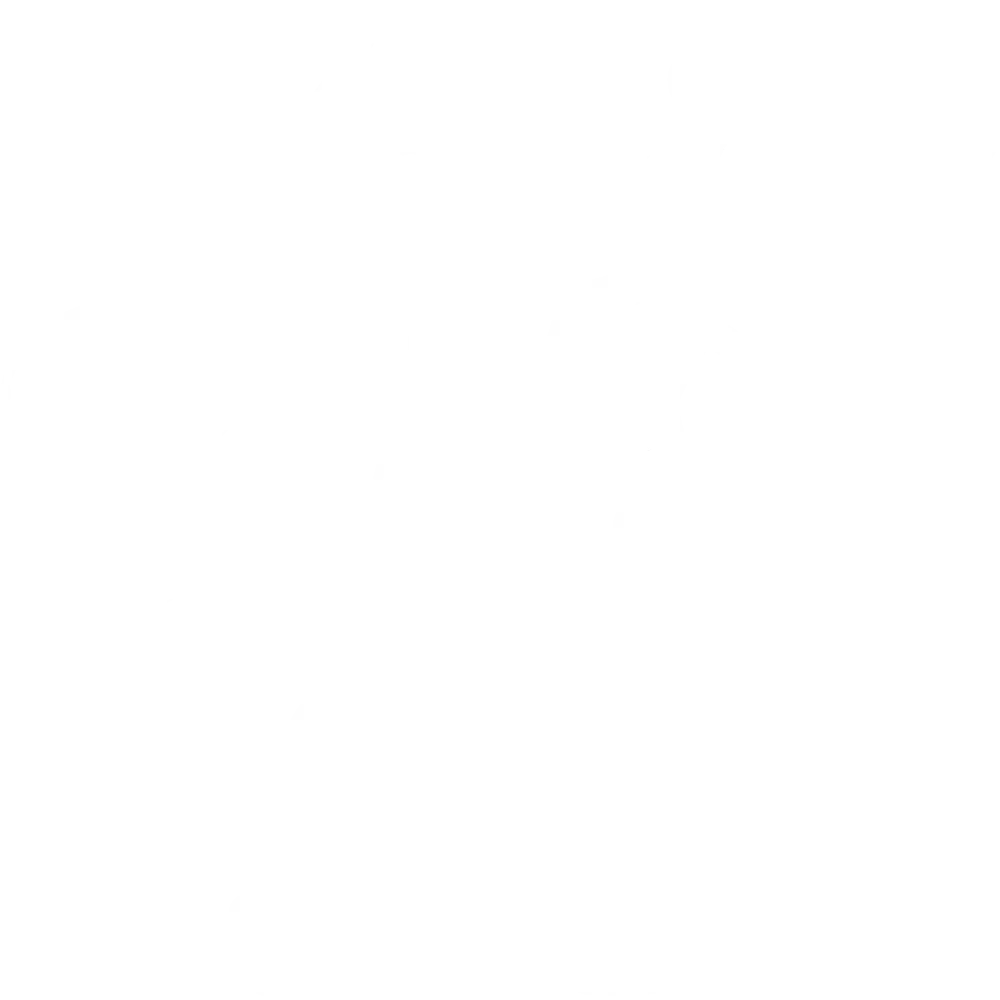 bearhugs-site-logo-website-white